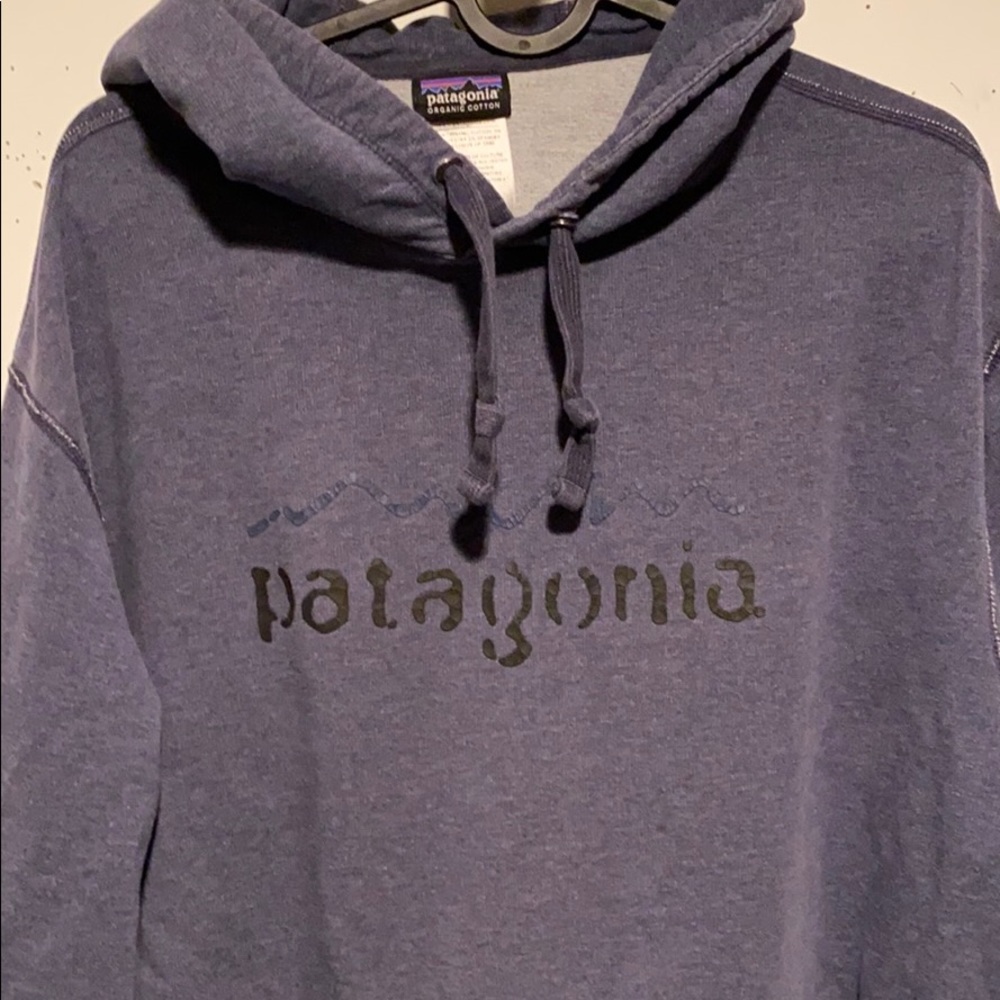 Patagonia Hoodie